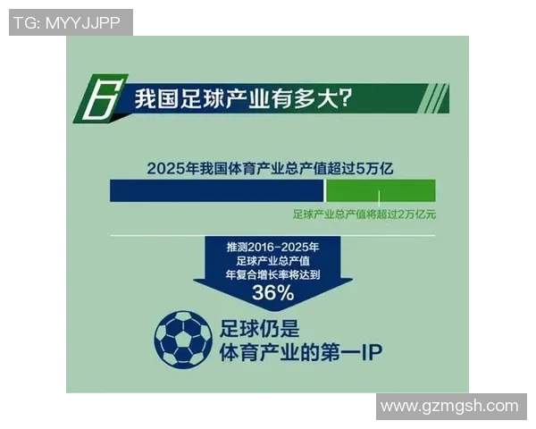 南京足球队意识探讨与发展路径分析助力球队崛起与城市足球文化建设