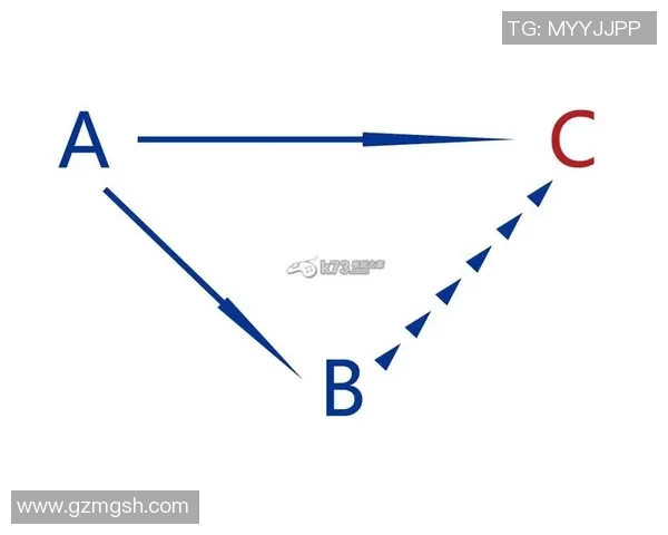 广州排球队的战术转换分析与得失评估
