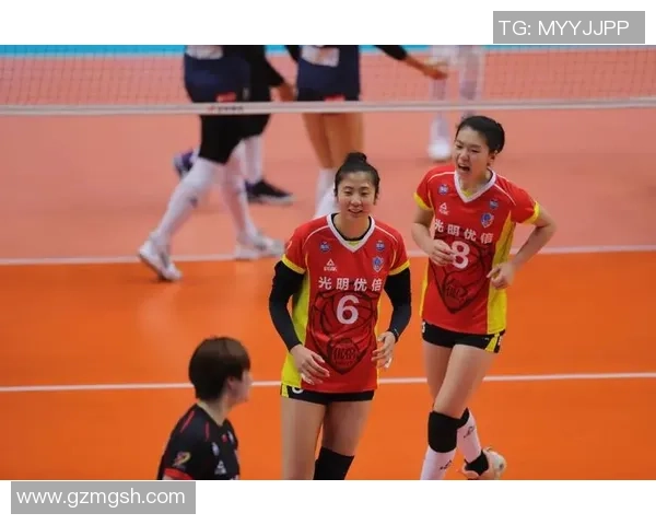 深圳排球队与重庆排球队赛后分析力量对比与战术探讨