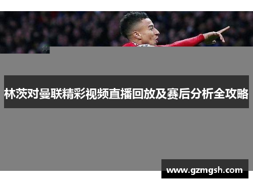 林茨对曼联精彩视频直播回放及赛后分析全攻略